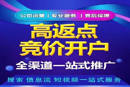 优化SEM竞价策略：成功案例剖析